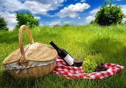 picknickkorb_48882214.jpg