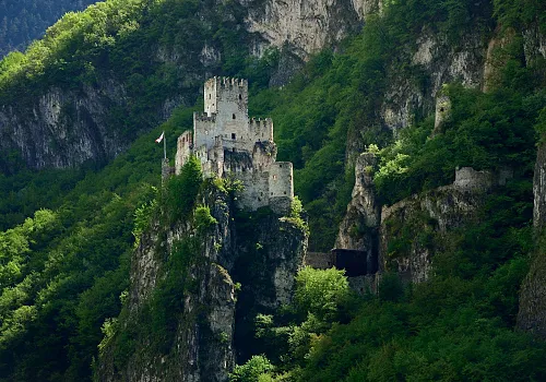 1_63.jpg